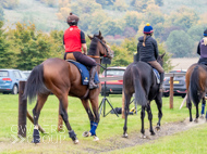 AK021025-14 - Alan King Stable Visit